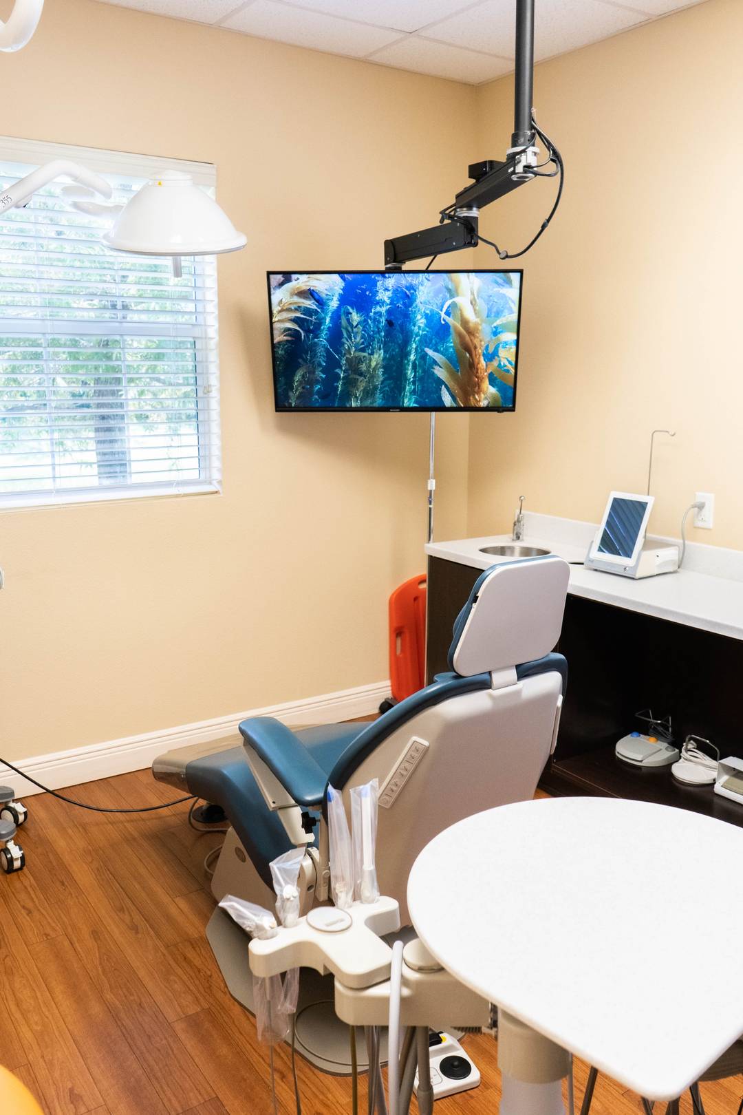 Chamberlain Dental Best Dental Office in Clearwater, FL